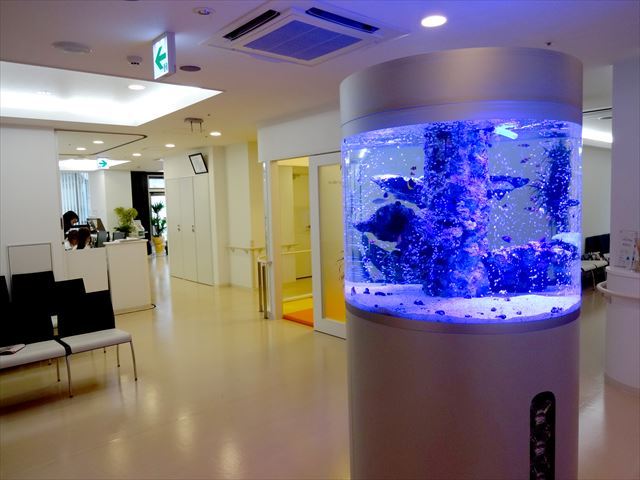 クリニックに設置した海水魚円柱水槽